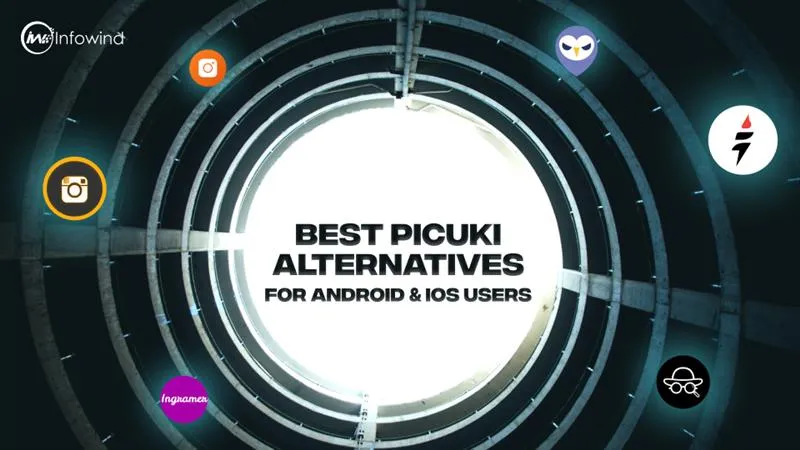 Picuki Alternatives